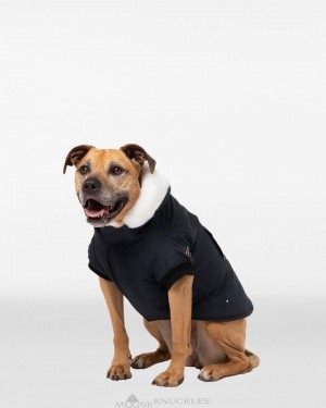 Pet Donna Moose Knuckles Pooch Parka Nere Bianche | JGF260543