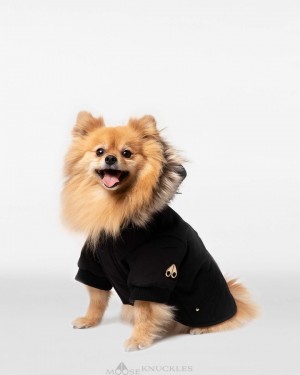 Pet Donna Moose Knuckles Pooch Parka Nere Oro | EWG146302