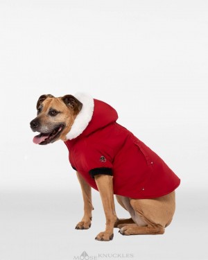 Pet Donna Moose Knuckles Pooch Parka Rosse Profondo Bianche | UQE317429