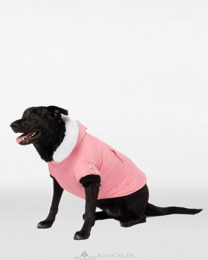 Pet Uomo Moose Knuckles Pooch Parka Bianche | VWH501376