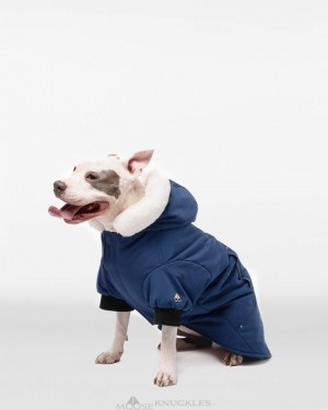 Pet Uomo Moose Knuckles Pooch Parka Blu Bianche | RUP835149