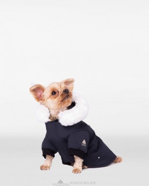 Pet Uomo Moose Knuckles Pooch Parka Blu Marino Bianche | AWG059347
