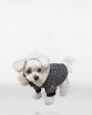 Pet Uomo Moose Knuckles Pooch Parka Monogram / Natural Fur | NLI369517